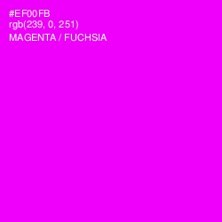 #EF00FB - Magenta / Fuchsia Color Image